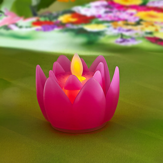 Fleur LED, fuchsia